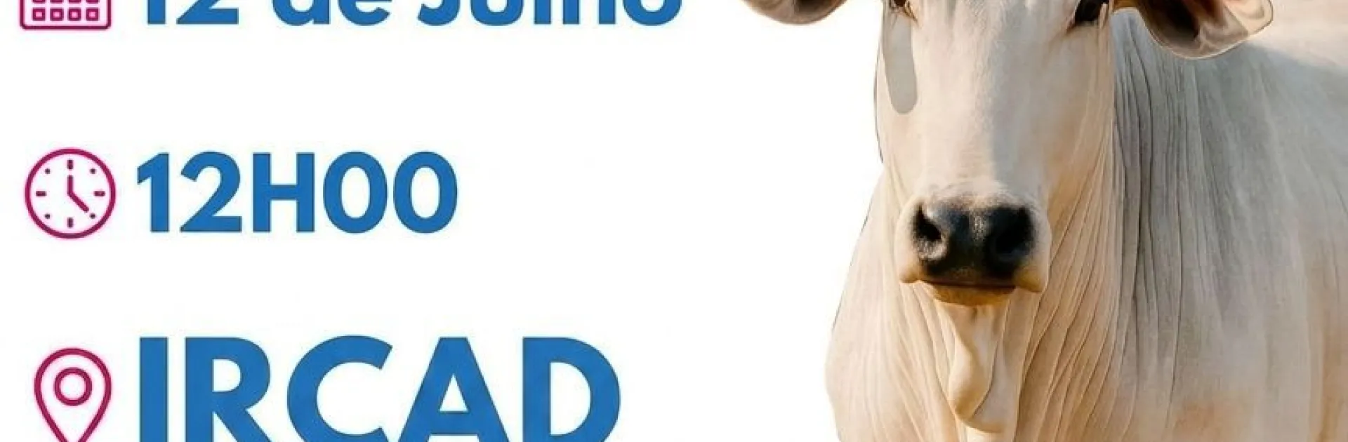 Banner 1