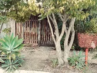 Imagem do imóvel CA71305