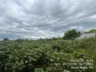 Imagem do imóvel TE69137