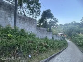 Imagem do imóvel TE39440