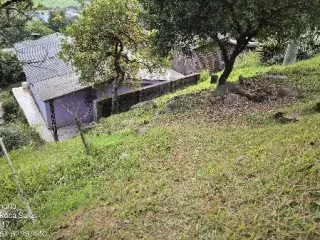 Imagem do imóvel CA81527