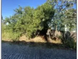 Imagem do imóvel TE02803