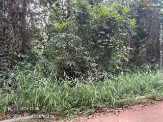 Imagem do imóvel TE26350