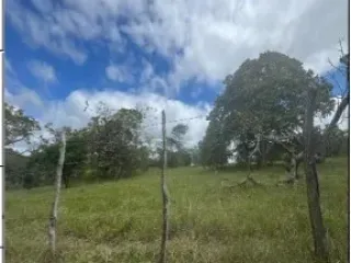 Imagem do imóvel GL29028