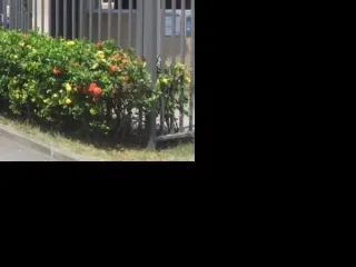 Imagem do imóvel AP49250