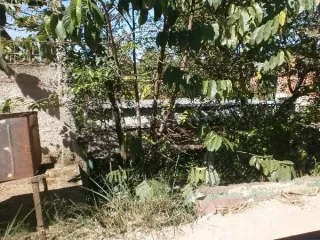 Imagem do imóvel CA79480