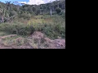 Imagem do imóvel TE67924