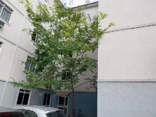 Imagem do imóvel AP43138