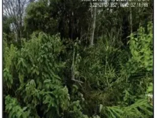 Imagem do imóvel TE17280