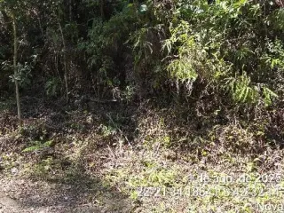 Imagem do imóvel TE95726