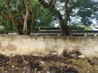 Imagem do imóvel CA44804