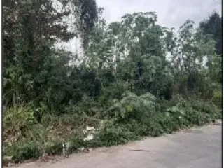 Imagem do imóvel TE23702