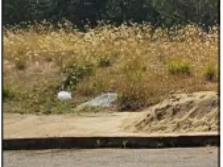 Imagem do imóvel TE94448