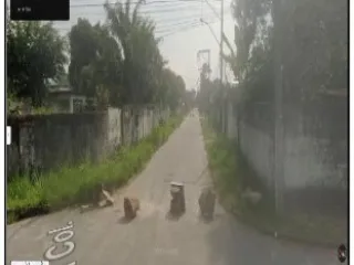 Imagem do imóvel CA12291