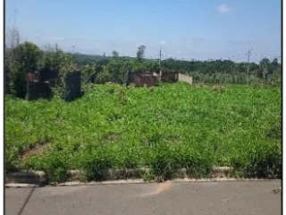 Imagem do imóvel TE82135