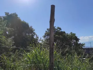 Imagem do imóvel TE93115