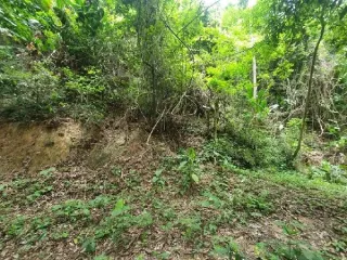 Imagem do imóvel TE05573