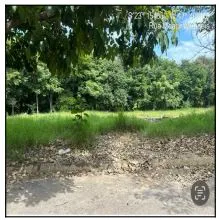 Imagem do imóvel TE95339