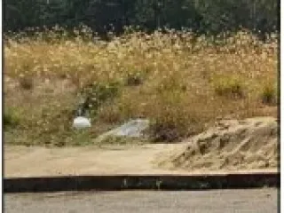 Imagem do imóvel TE76366