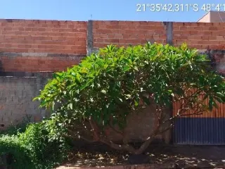 Imagem do imóvel AP52494