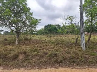 Imagem do imóvel TE37156