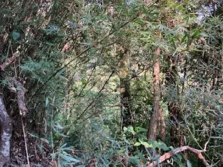 Imagem do imóvel TE51689