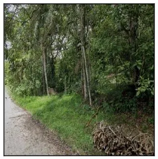 Imagem do imóvel TE06720