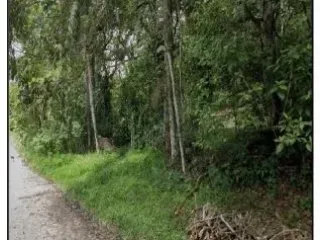 Imagem do imóvel TE06720