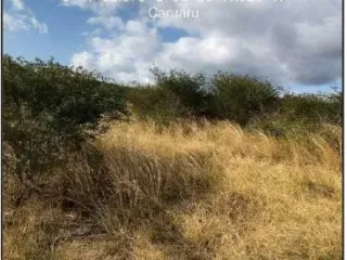 Imagem do imóvel TE33458