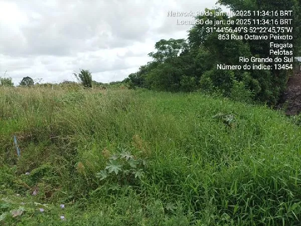 Imagem do imóvel TE54864