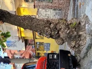 Imagem do imóvel CA79038