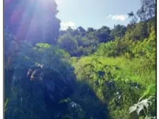 Imagem do imóvel AP58255