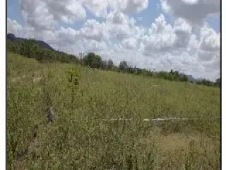 Imagem do imóvel TE63607