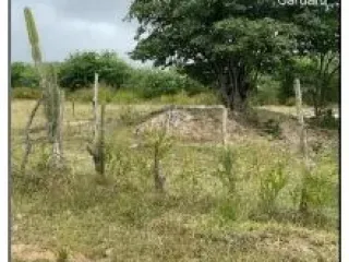 Imagem do imóvel TE41485