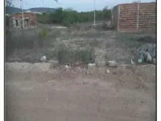 Imagem do imóvel TE63942