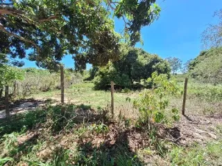 Imagem do imóvel TE48875