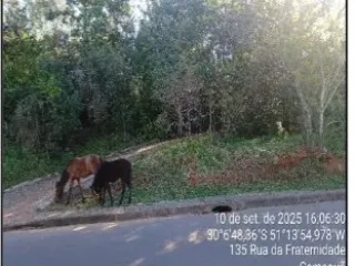 Imagem do imóvel TE32556