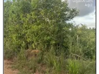 Imagem do imóvel TE29658