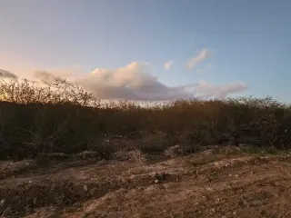 Imagem do imóvel TE89910