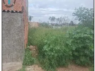 Imagem do imóvel TE25270