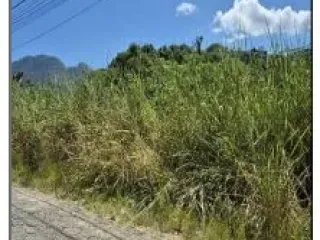Imagem do imóvel TE36595